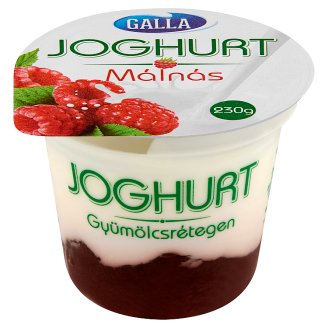 Galla joghurt málnás gyümölcsrétegen 230 g