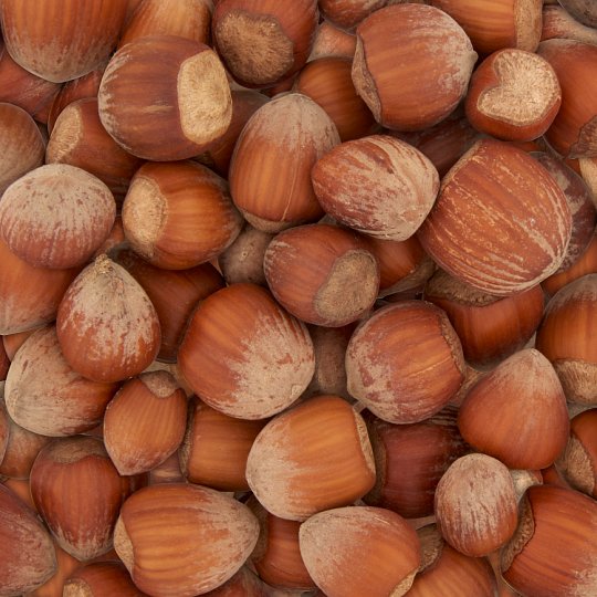 Hazelnuts Loose