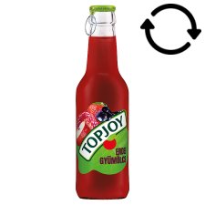 Topjoy Forest Fruit Juice Drink 250 ml