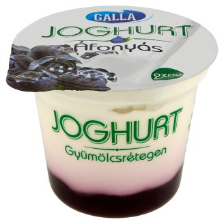 Galla joghurt áfonyás gyümölcsrétegen 230 g