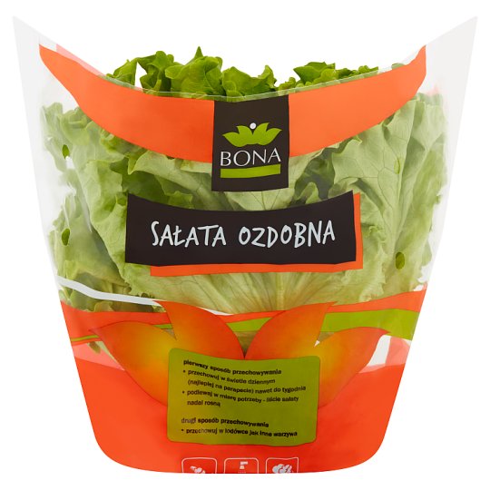 Sałata ozdobna