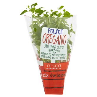 Tesco Polskie oregano w doniczce