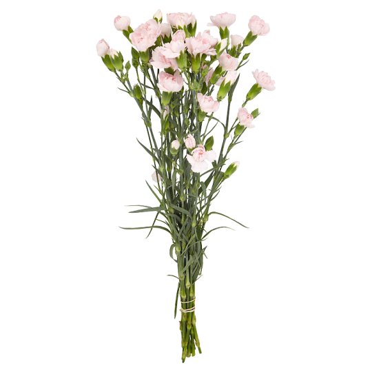 Mini Carnation Posy 10 Pieces