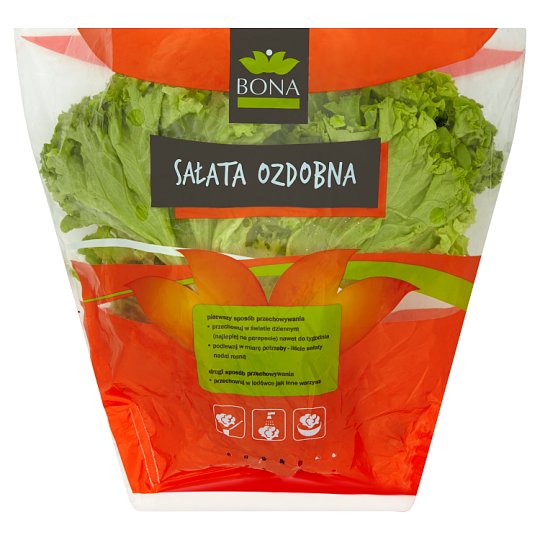 Sałata zielona strzępiasta