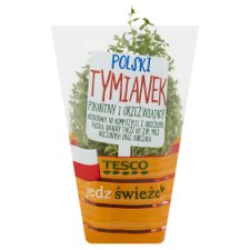 Tesco Polski tymianek w doniczce