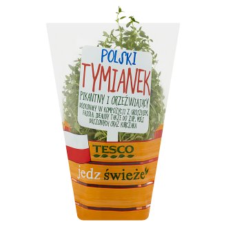 Tesco Polski tymianek w doniczce
