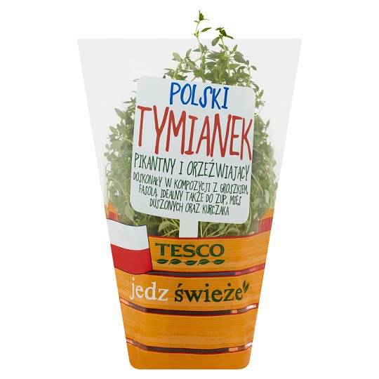 Tesco Polski tymianek w doniczce