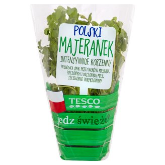 Tesco Polski majeranek w doniczce
