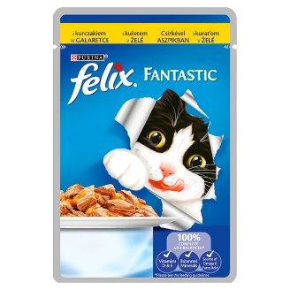 Felix Fantastic Karma dla dorosłych kotów z kurczakiem w galaretce 100 g
