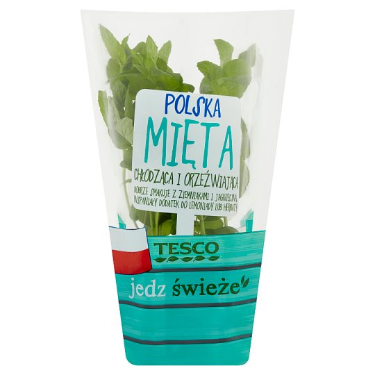 Tesco Polska mięta w doniczce