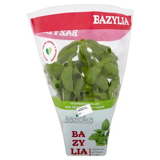 Bazylia