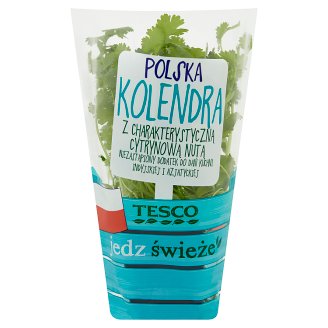 Tesco Polska kolendra w doniczce