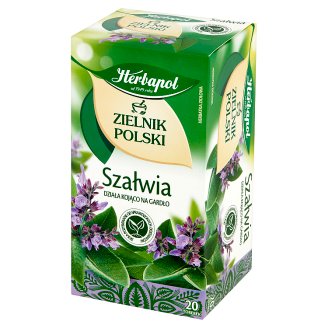 Herbapol Zielnik Polski Szałwia Herbatka ziołowa 24 g (20 torebek)