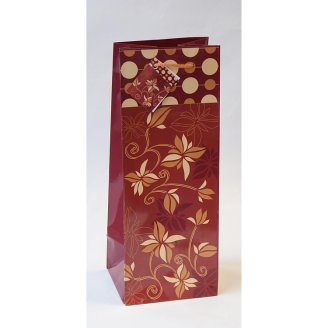 TG-50 paper bag for a bottle