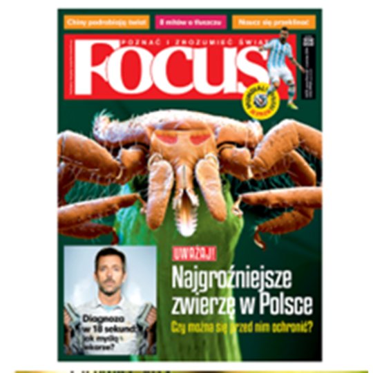 MIESIĘCZNIK FOCUS