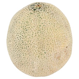 Melon cantaloupe