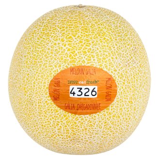 Melon Galia