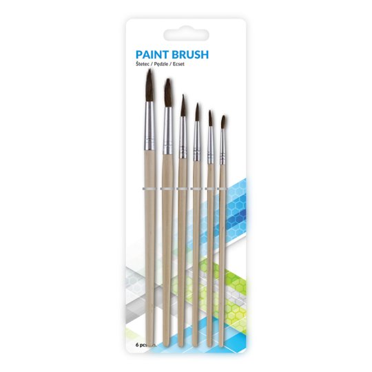 Paint Brush 6 Pieces