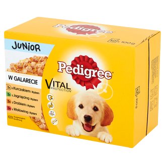Pedigree Vital Protection Junior w galarecie Karma pełnoporcjowa 1,2 kg (12 x 100 g)