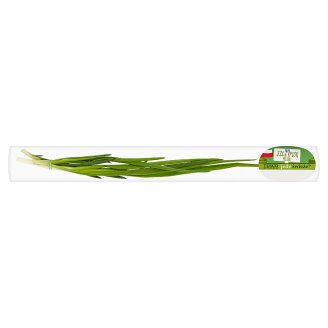 Tesco Polski szczypior pęczek