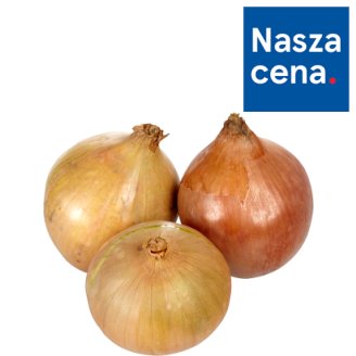 Cebula