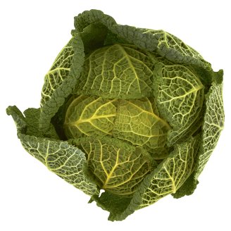 Kapusta włoska