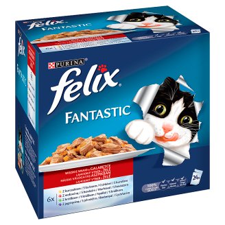 Felix Fantastic Karma dla dorosłych kotów wiejskie smaki w galaretce 2400 g (24 x 100 g)
