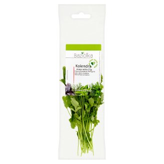 Baziółka Kolendra 15 g