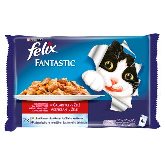 Felix Fantastic Wybór mięs w galaretce Pełnoporcjowa karma dla dorosłych kotów 4 x 100 g