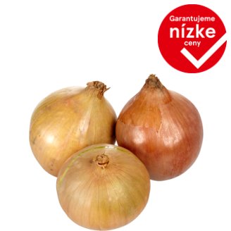 Cibuľa