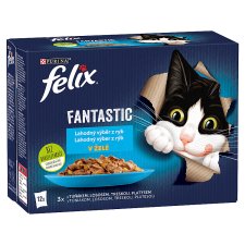 FELIX Fantastic Delicious Selection with Salmon, with Flounder, with Tuna, with Cod 12 x 85 g