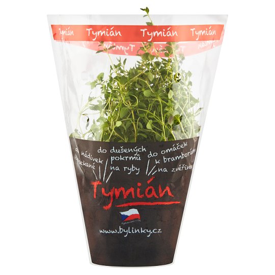 Tesco Tymián