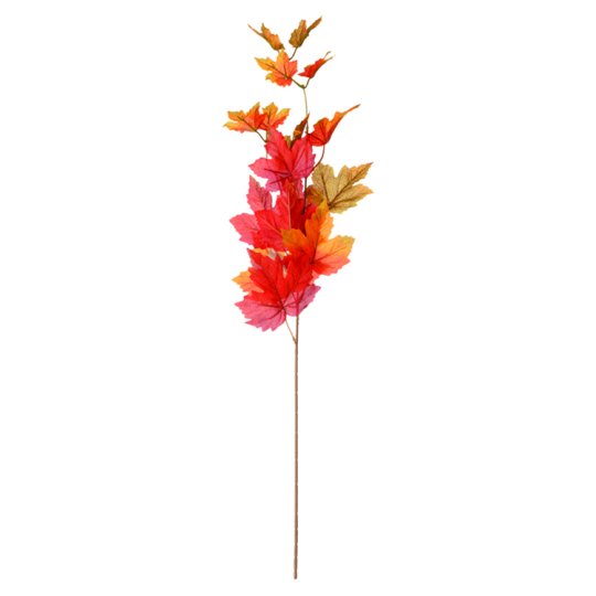 Twig with Maple Leaves