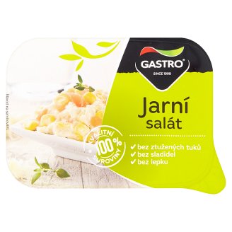 Gastro Jarný šalát 140 g