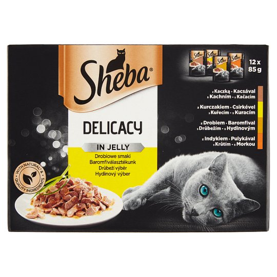 sheba pouches tesco