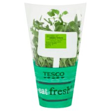 Tesco Eat Fresh Oregáno