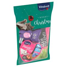 Vitakraft Christmas Package for a Cat