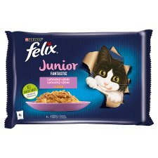 FELIX Fantastic Junior with Chicken and Salmon in Jelly 4 x 85 g