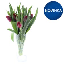 Bouquet of Tulips 15 Stems