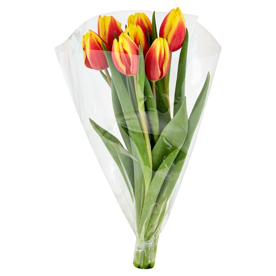 Tesco Kytica tulipány 7 ks