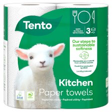 Tento Kitchen Paper Towels 3 Ply 2 Rolls
