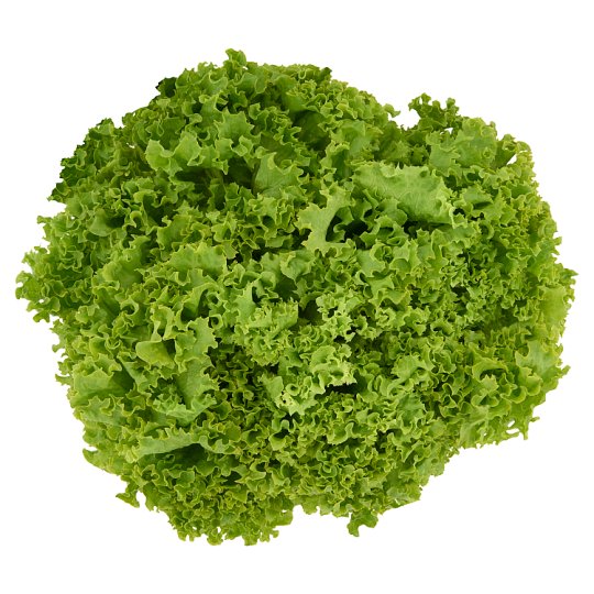 Tesco Lollo Biondo White Curly Salad pc