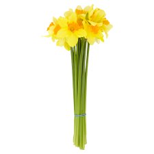 Tesco Bouquet of Daffodils 18 Stems