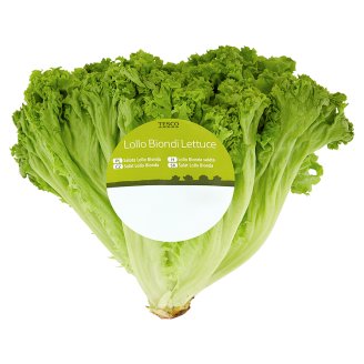 Tesco Lollo Biondi Lettuce