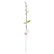 Jumi Artificial Branch Pussy Willow Gray 49 cm