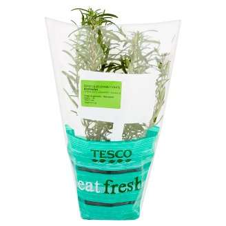 Tesco Eat Fresh Rozmarýn lekársky