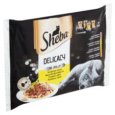 Sheba Delicacy in Jelly Hydinový výber 4 x 85 g (340 g)