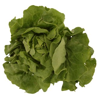 Lettuce Salad pc