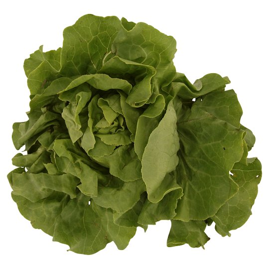 Lettuce Salad pc
