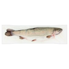 Rainbow Trout Dissected Chilled